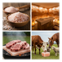 Pink Salt for Animal Licks / SPA / Slabs / Lamps