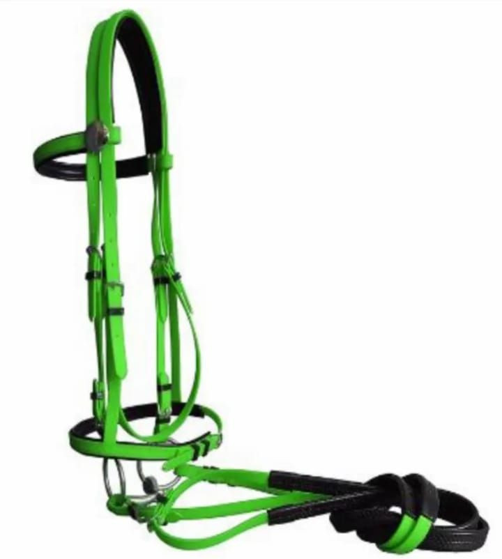 Horse Accessories