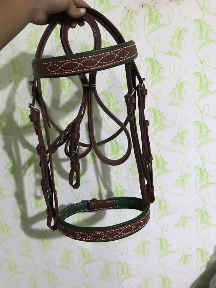 Horse Accessories